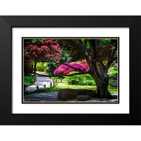 Japanese Garden III Black Modern Wood Framed Art Print with Double Matting by Hausenflock, Alan