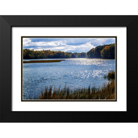 Felgates Creek I Black Modern Wood Framed Art Print with Double Matting by Hausenflock, Alan