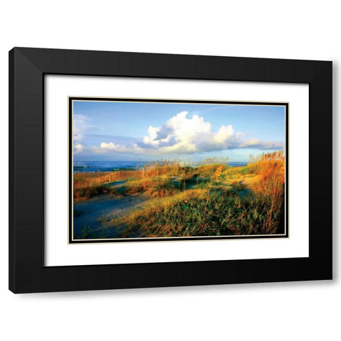 Dunes II Black Modern Wood Framed Art Print with Double Matting by Hausenflock, Alan