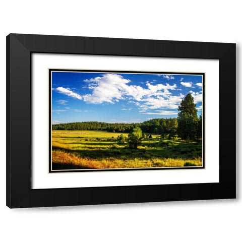 Arizona Ranch Black Modern Wood Framed Art Print with Double Matting by Hausenflock, Alan