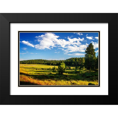 Arizona Ranch Black Modern Wood Framed Art Print with Double Matting by Hausenflock, Alan