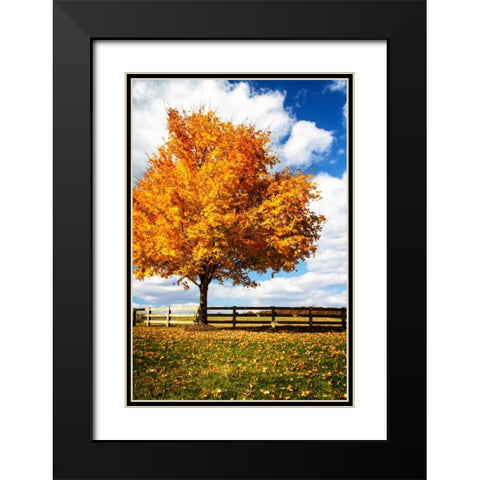 Trees of Gold II Black Modern Wood Framed Art Print with Double Matting by Hausenflock, Alan