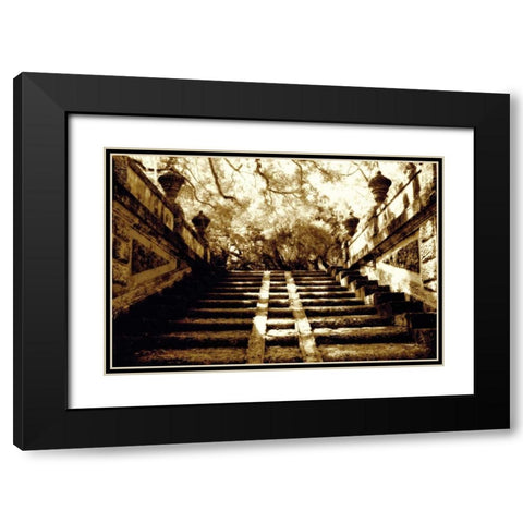 Vizcaya I Black Modern Wood Framed Art Print with Double Matting by Hausenflock, Alan