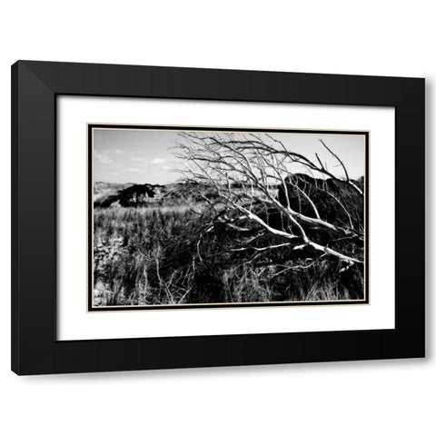 Bear Island II Black Modern Wood Framed Art Print with Double Matting by Hausenflock, Alan