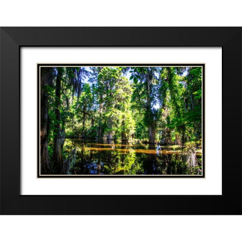 Cypress Pond I Black Modern Wood Framed Art Print with Double Matting by Hausenflock, Alan