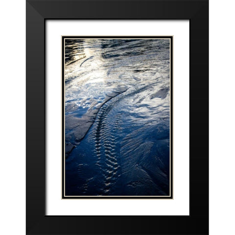 Water Etchings II Black Modern Wood Framed Art Print with Double Matting by Hausenflock, Alan