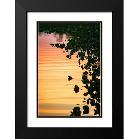 River at Twilight I Black Modern Wood Framed Art Print with Double Matting by Hausenflock, Alan