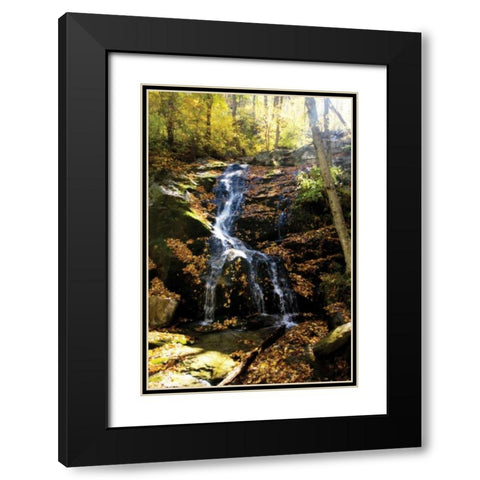 Autumn Waterfall II Black Modern Wood Framed Art Print with Double Matting by Hausenflock, Alan