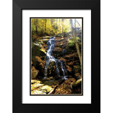 Autumn Waterfall II Black Modern Wood Framed Art Print with Double Matting by Hausenflock, Alan