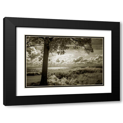 Cobb Island Afternoon I Black Modern Wood Framed Art Print with Double Matting by Hausenflock, Alan