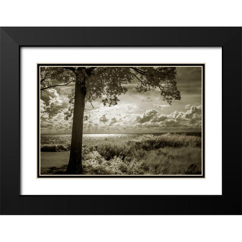 Cobb Island Afternoon I Black Modern Wood Framed Art Print with Double Matting by Hausenflock, Alan