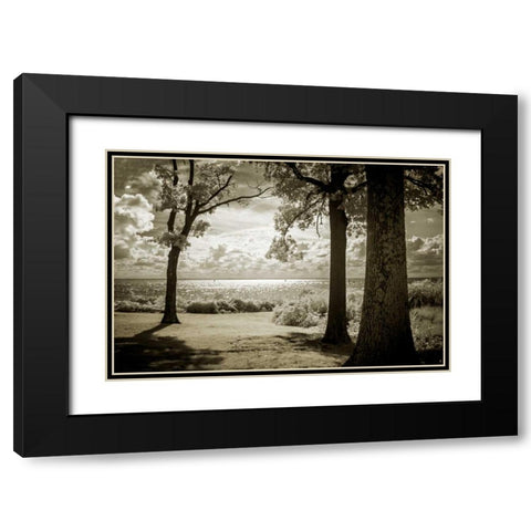 Cobb Island Afternoon II Black Modern Wood Framed Art Print with Double Matting by Hausenflock, Alan