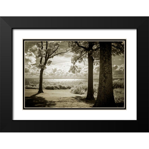 Cobb Island Afternoon II Black Modern Wood Framed Art Print with Double Matting by Hausenflock, Alan