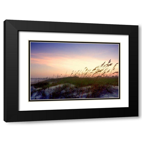 Rosey Sunset II Black Modern Wood Framed Art Print with Double Matting by Hausenflock, Alan