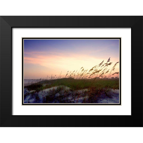 Rosey Sunset II Black Modern Wood Framed Art Print with Double Matting by Hausenflock, Alan