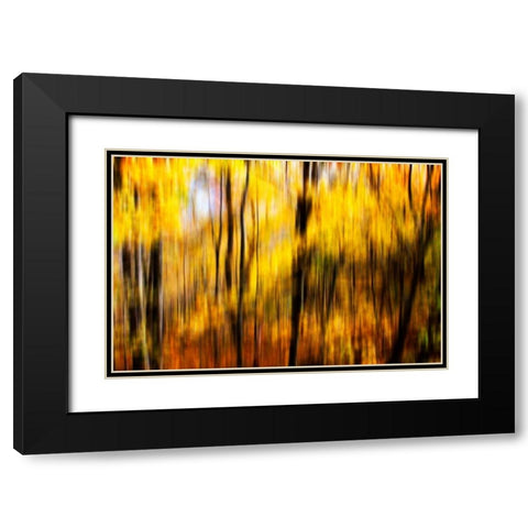 Autumn Impressions I Black Modern Wood Framed Art Print with Double Matting by Hausenflock, Alan