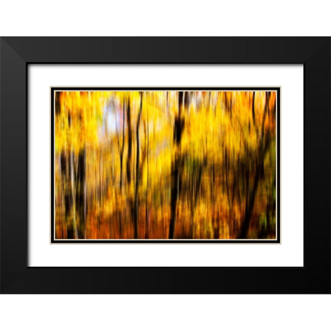 Autumn Impressions I Black Modern Wood Framed Art Print with Double Matting by Hausenflock, Alan