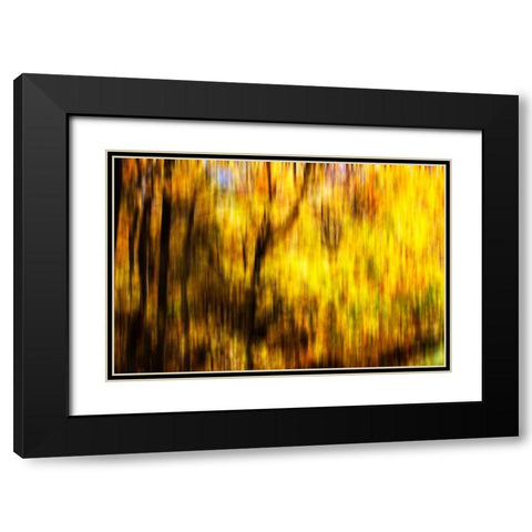 Autumn Impressions II Black Modern Wood Framed Art Print with Double Matting by Hausenflock, Alan