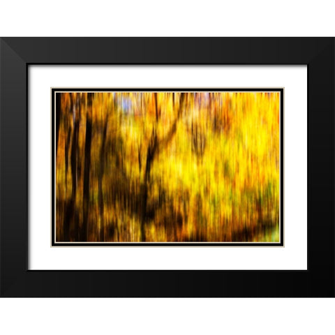 Autumn Impressions II Black Modern Wood Framed Art Print with Double Matting by Hausenflock, Alan