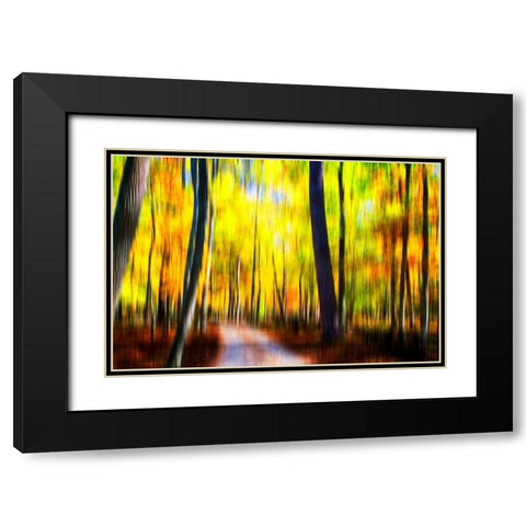 Autumn Impressions III Black Modern Wood Framed Art Print with Double Matting by Hausenflock, Alan