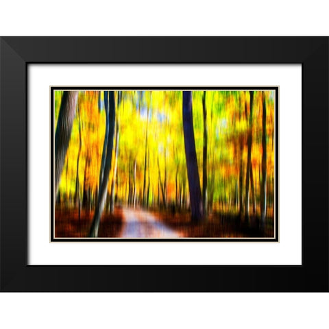 Autumn Impressions III Black Modern Wood Framed Art Print with Double Matting by Hausenflock, Alan