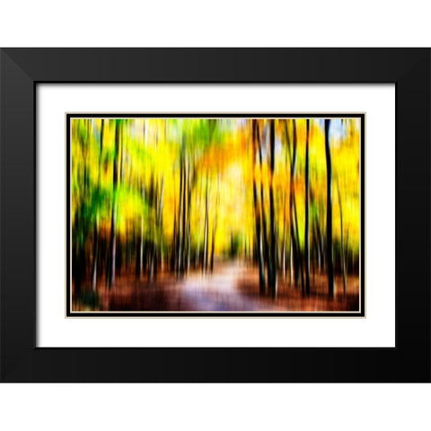 Autumn Impressions IV Black Modern Wood Framed Art Print with Double Matting by Hausenflock, Alan
