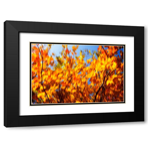 Autumn Impressions V Black Modern Wood Framed Art Print with Double Matting by Hausenflock, Alan