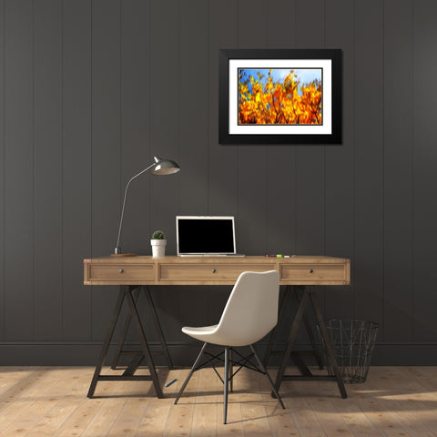 Autumn Impressions VI Black Modern Wood Framed Art Print with Double Matting by Hausenflock, Alan