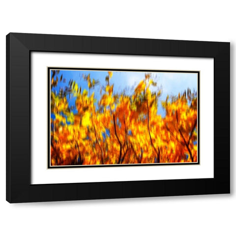 Autumn Impressions VI Black Modern Wood Framed Art Print with Double Matting by Hausenflock, Alan