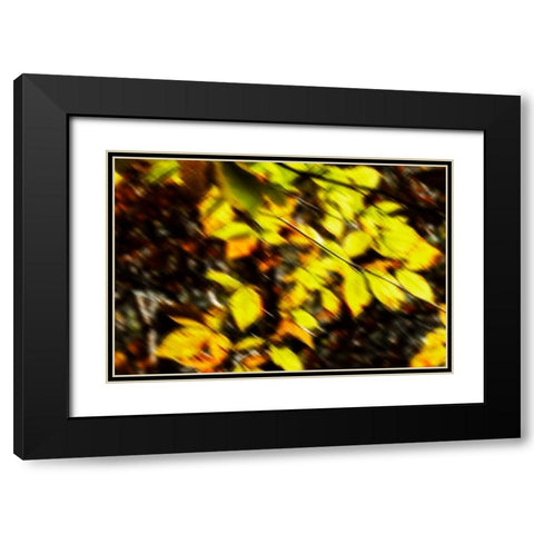 Autumn Impressions VII Black Modern Wood Framed Art Print with Double Matting by Hausenflock, Alan