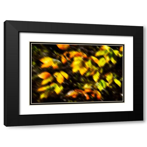 Autumn Impressions VIII Black Modern Wood Framed Art Print with Double Matting by Hausenflock, Alan