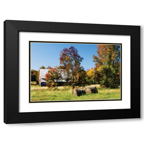 Autumn Scene I Black Modern Wood Framed Art Print with Double Matting by Hausenflock, Alan