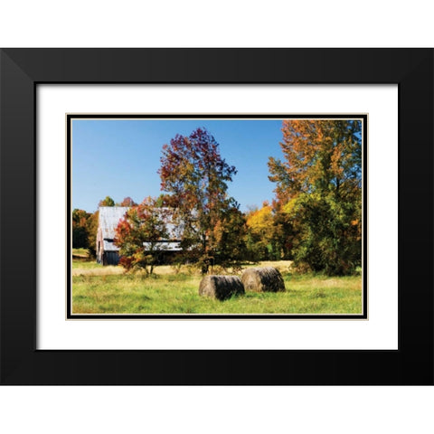 Autumn Scene I Black Modern Wood Framed Art Print with Double Matting by Hausenflock, Alan