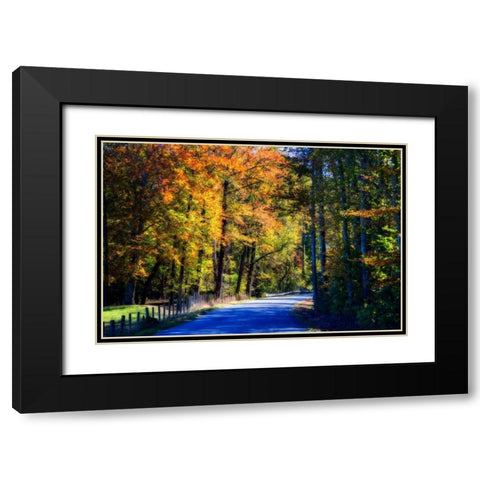 Twisting Autumn Road II Black Modern Wood Framed Art Print with Double Matting by Hausenflock, Alan