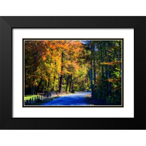 Twisting Autumn Road II Black Modern Wood Framed Art Print with Double Matting by Hausenflock, Alan