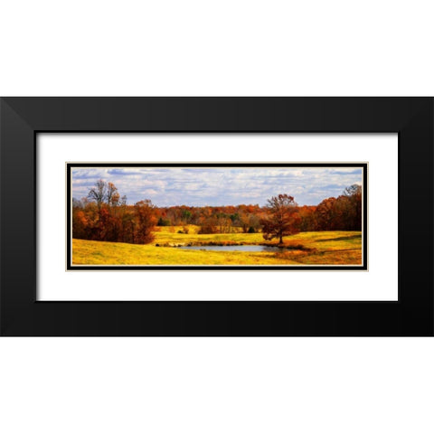 Trees of Crimson Black Modern Wood Framed Art Print with Double Matting by Hausenflock, Alan