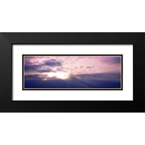 Pelicans Above the Bay Black Modern Wood Framed Art Print with Double Matting by Hausenflock, Alan