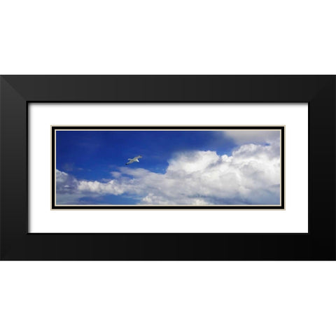 Gull Above the Sea II Black Modern Wood Framed Art Print with Double Matting by Hausenflock, Alan