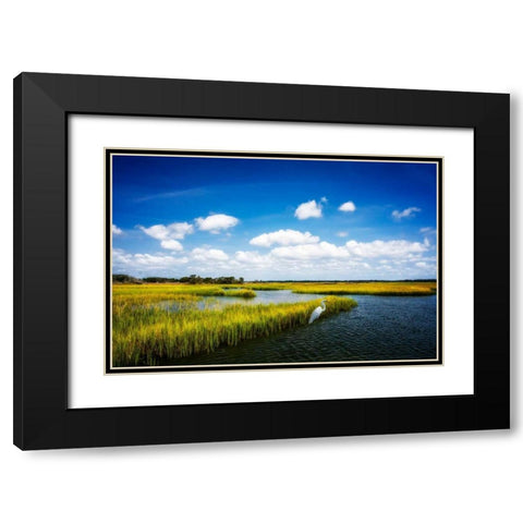 Wetland Herons II Black Modern Wood Framed Art Print with Double Matting by Hausenflock, Alan