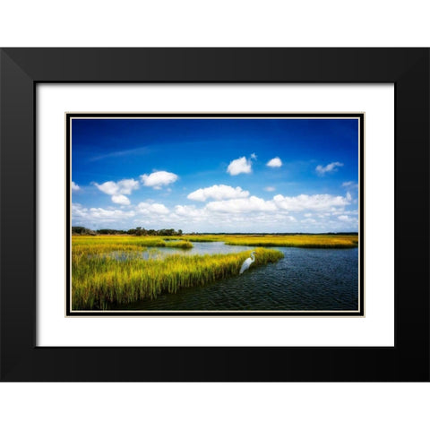 Wetland Herons II Black Modern Wood Framed Art Print with Double Matting by Hausenflock, Alan