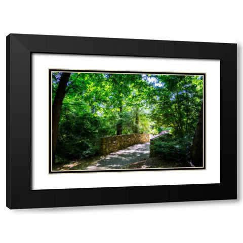 Shaded Bridge I Black Modern Wood Framed Art Print with Double Matting by Hausenflock, Alan