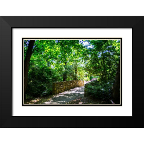 Shaded Bridge I Black Modern Wood Framed Art Print with Double Matting by Hausenflock, Alan