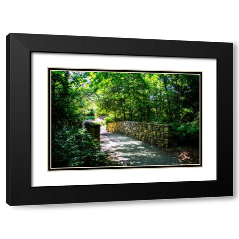 Shaded Bridge II Black Modern Wood Framed Art Print with Double Matting by Hausenflock, Alan