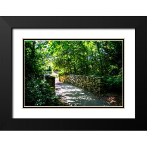 Shaded Bridge II Black Modern Wood Framed Art Print with Double Matting by Hausenflock, Alan