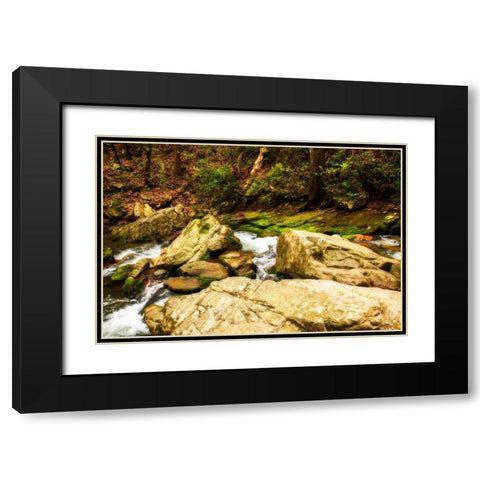 Covington Woods I Black Modern Wood Framed Art Print with Double Matting by Hausenflock, Alan