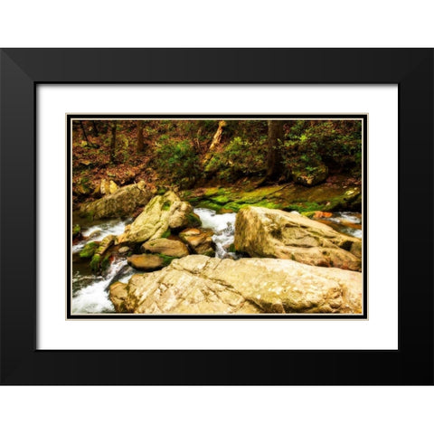 Covington Woods I Black Modern Wood Framed Art Print with Double Matting by Hausenflock, Alan