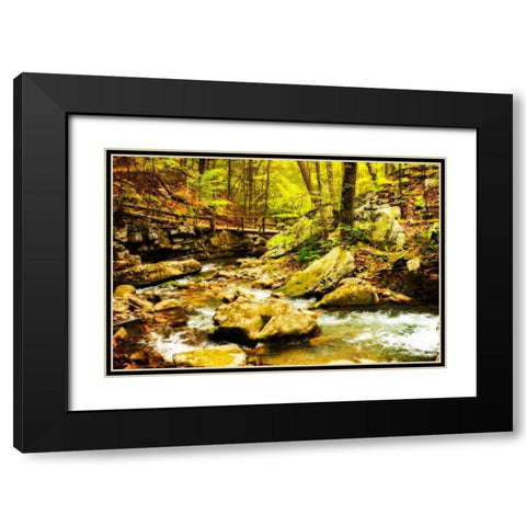 Covington Woods II Black Modern Wood Framed Art Print with Double Matting by Hausenflock, Alan