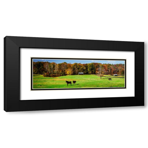 Virginia Horse Farm I Black Modern Wood Framed Art Print with Double Matting by Hausenflock, Alan