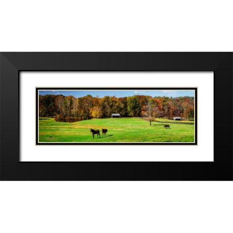 Virginia Horse Farm I Black Modern Wood Framed Art Print with Double Matting by Hausenflock, Alan