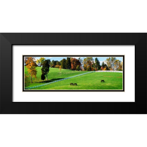 Virginia Horse Farm II Black Modern Wood Framed Art Print with Double Matting by Hausenflock, Alan